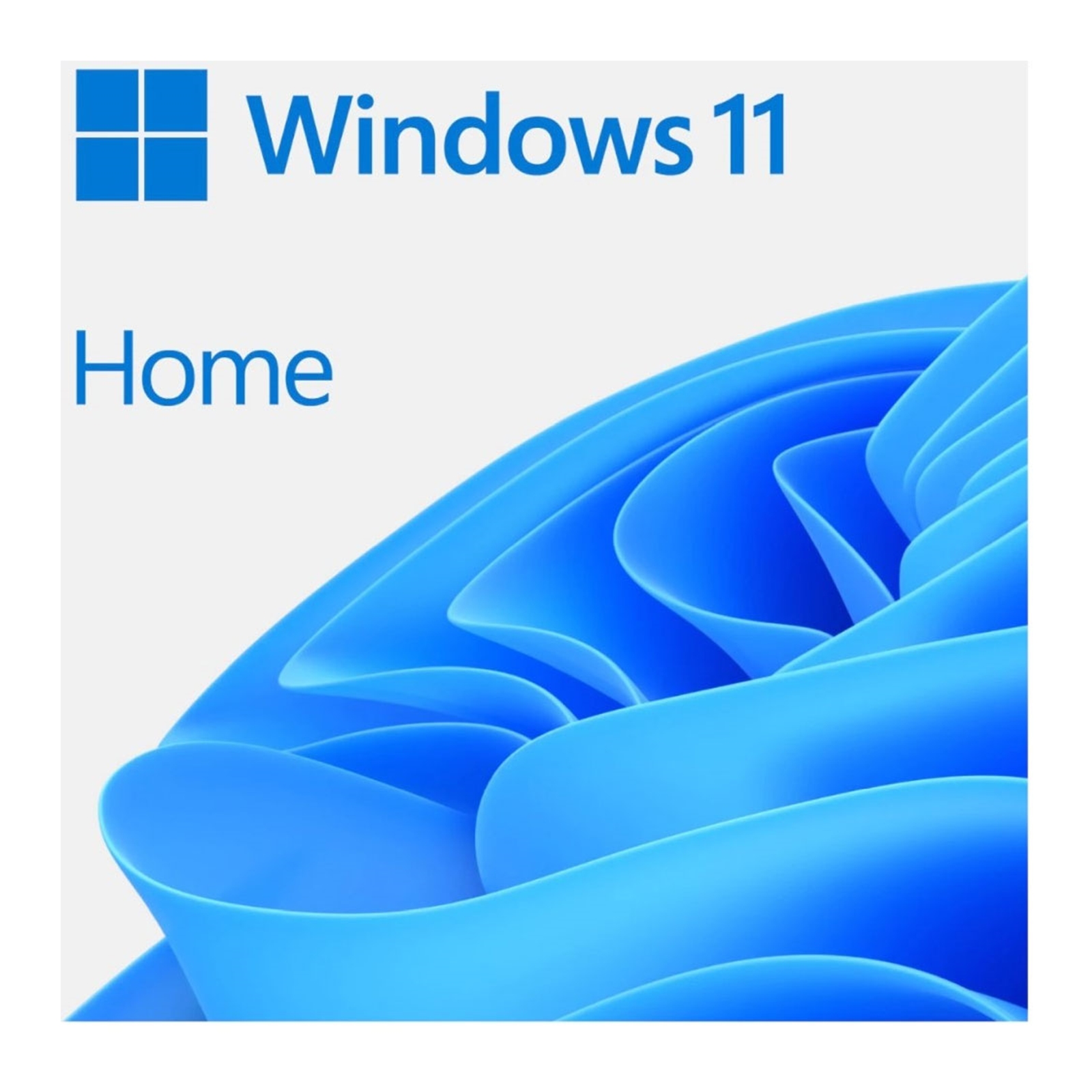 Microsoft Windows 11 Home 64bit All Language ESD