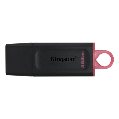 Kingston DataTraveler Exodia 256 GB USB 3.2 Blk/Pink USB Flash Drive